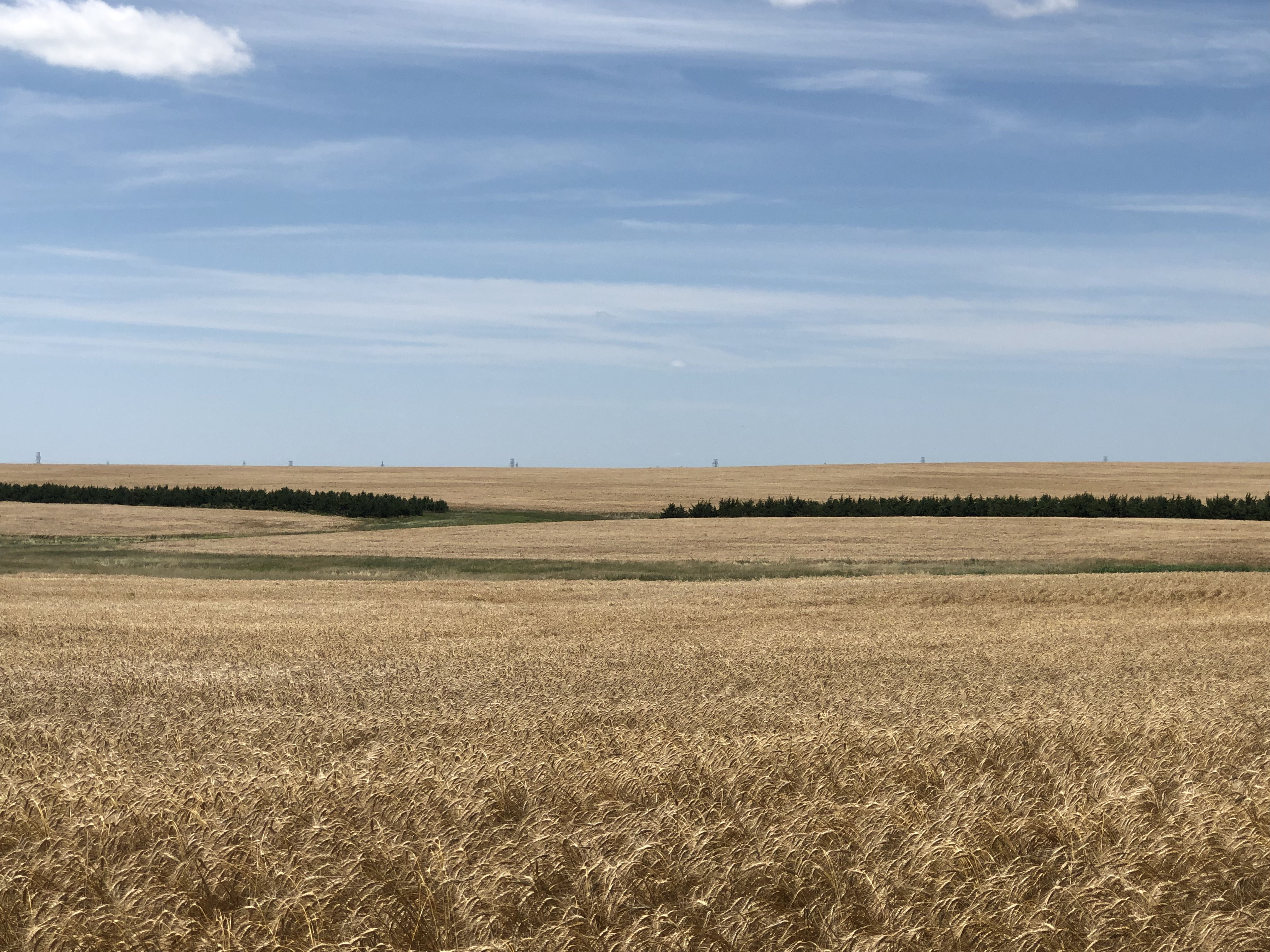Buffalo County Farm Land Hall and Hall